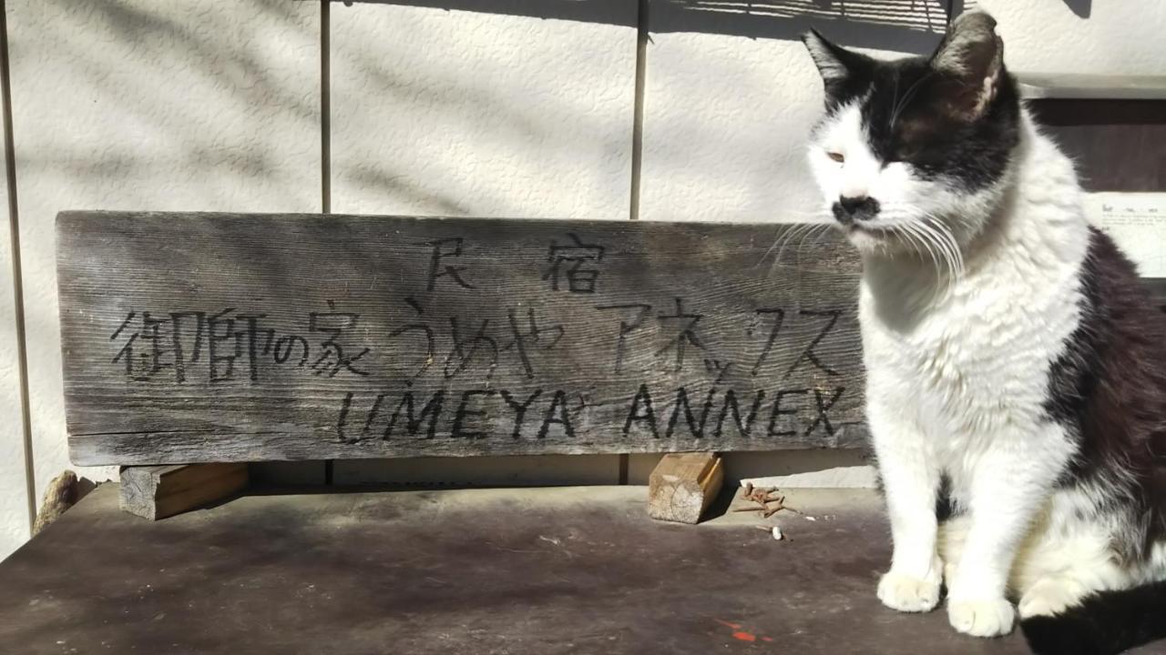 Гостьовий будинок Umeya Annex Фудзі-Каваґутіко Екстер'єр фото
